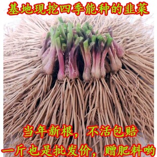 �¾²˸����ϸ����~�t���ļ��¾²˸������̨�߲�����²��^��