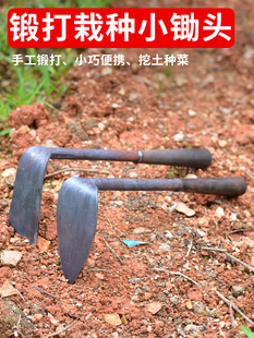 Outdoor Gardening Tools Farm Tools Forged Iron Mini Small Hoe Balcony Vegetable Flower Small Hoe Agricultural Hoe