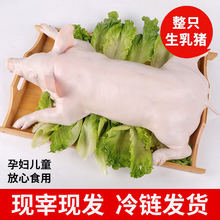 ���i��ֻ�F�������i���С���iҎ���Rȫ�Ƶ���������rʳ��������