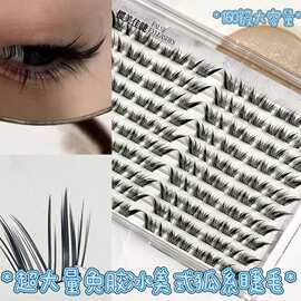 免胶冰美式狐系假睫毛超大量灵动又网感十足眼尾一簇斜上眼即吸睛