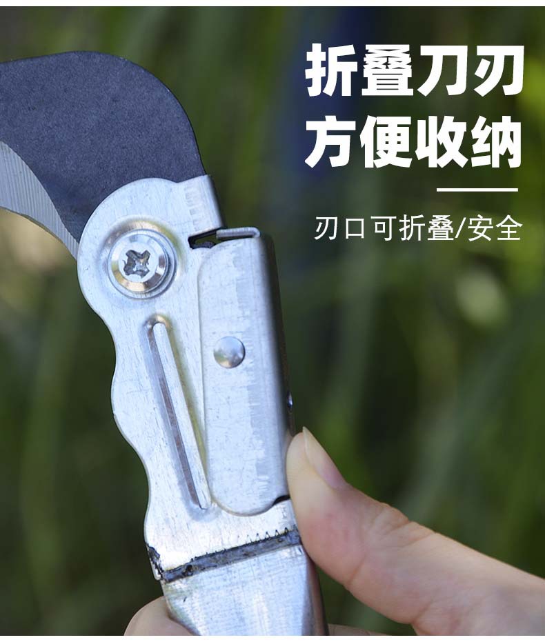 详情5