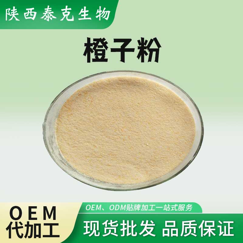 橙子粉 水果汁粉 提取物原料 果蔬粉喷干粉 果粉 橙子粉