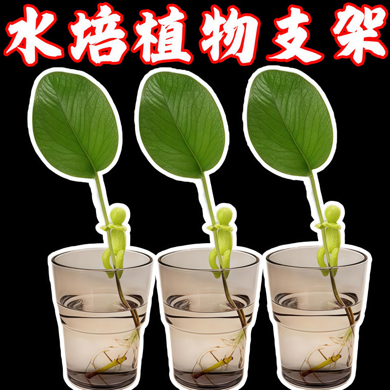 水培植物固定神器生长造型防倒伴侣扶正扶枝办公桌装饰园艺固定器|undefined