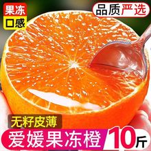 榨汁橙子甜爆汁四川爱媛38号果冻非青见现摘新鲜应季水果厂家批发