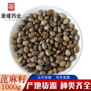 ��ș�Ĵ�ȫ������1000�� ������؛������ һ�����l��ș�ı�����