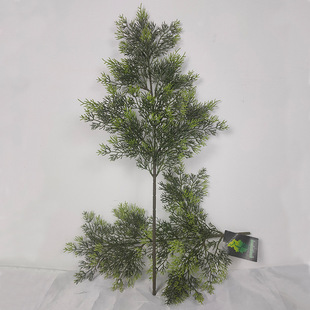 ����ɼ���~�ߙn�t��ɼ�ɰ؈@�־��^���b�֦��ɭϵ�Gֲ�}�Q��ɼ