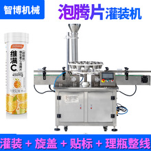定制点数药丸片剂管装罐装机设备 维生素泡腾片装管机 片状灌装机