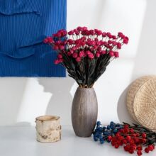 INS�L�羳15�^PEСõ����ĭ���滨���l�ٻ���c��ͥ�b�ˇƷ