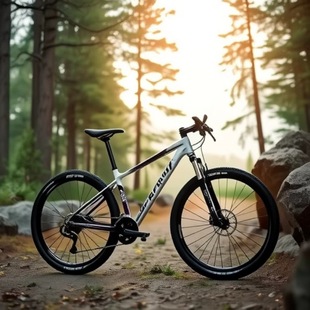 ̼�w�S܇��ɽ��܇��1.34kg27.5���͵�ǰ����¡27��30��33��1340kg