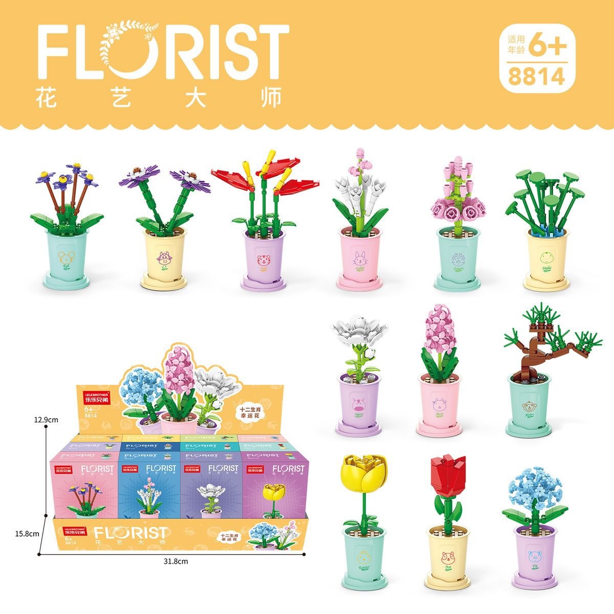 5 bloques de flores en maceta