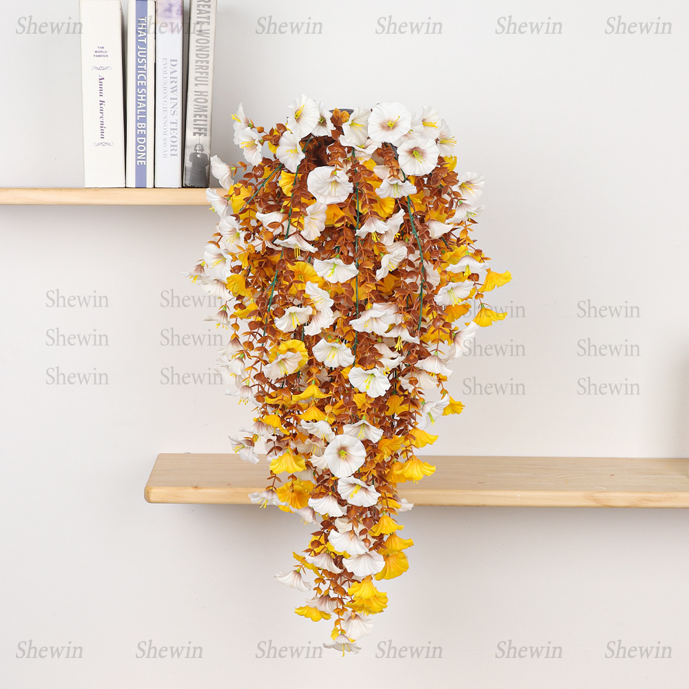 DS2094-1主图1.jpg