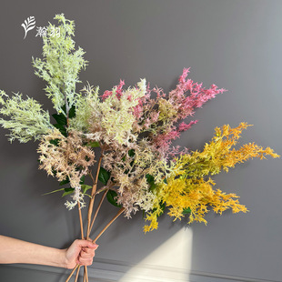�S�����F���滨 ��ˇ�廨�F�����˷��滨 ���Sֱ�N�zӰ����