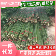 ��U�ˈ@��ܗU�����S�����t��֧�ܗU�������ӳ�Ӳֲ����������U