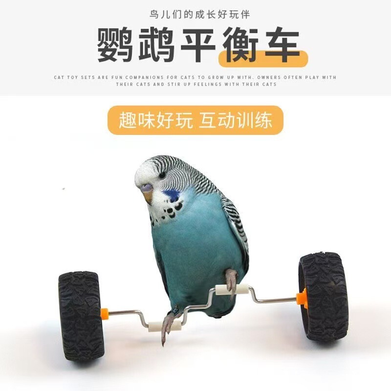Parrot toys to relieve boredom balance car small and medium-sized bird supplies pulley skateboard skills training props xuanfeng bird toys