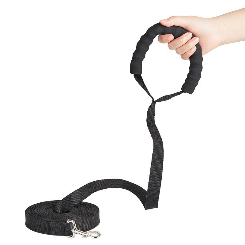 Pet Leash Image 2