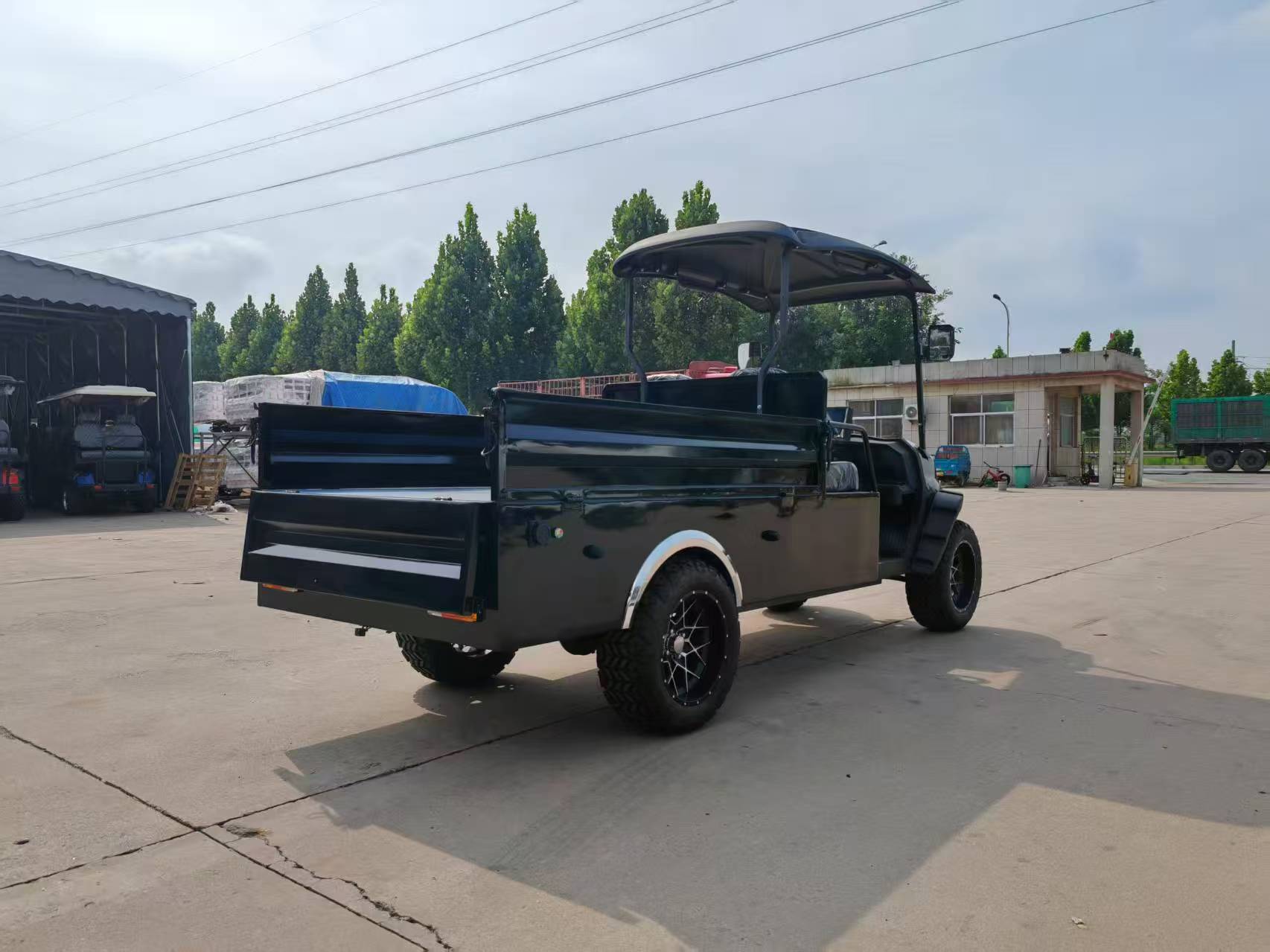 New Electric Golf Cart for Tourist Areas, Residential Communities, and Parks, 2-8 Seat Mobility Vehicle