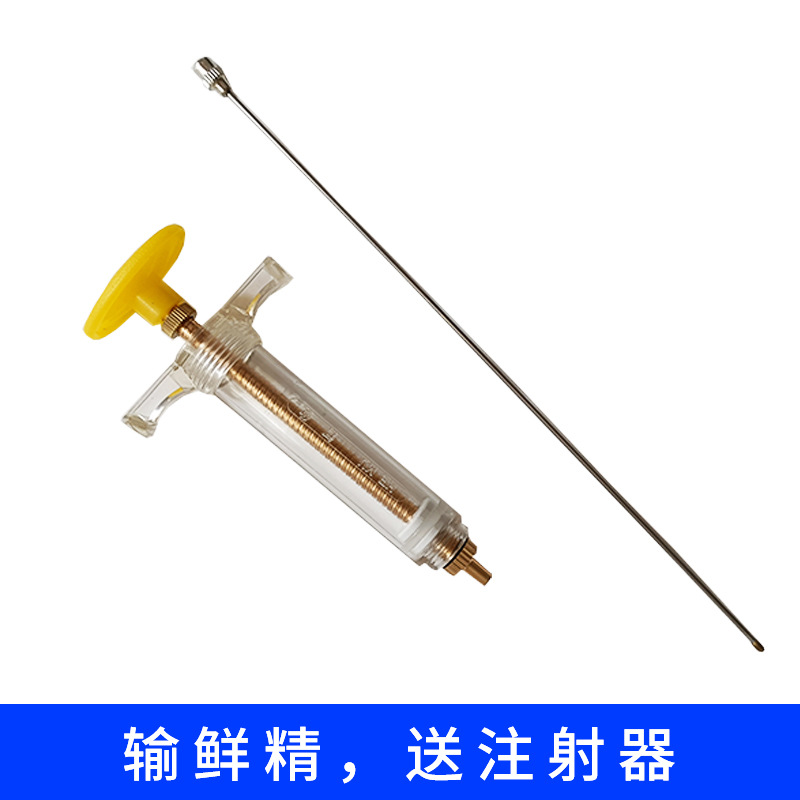 Pistola de transfusión de esperma para ovejas Pistola de transfusión de esperma simple Aguja de transfusión de esperma Equipo de inseminación artificial Pistola de transfusión de esperma de acero inoxidable para ovejas