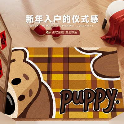 Multifunctional Entrance Door Mat, Avtomobil döşəmə paspasları - furry-puppy-4060cm-silk-circle