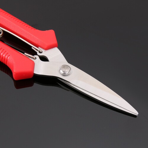 Taiwan Sakawada 910 fruit thinning scissors, fruit picking, grape sawtooth blades, fruit picking, pepper, stainless steel scissors