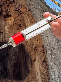 Tree Root Rot Medicine, One Drop of Tree Death Powder, Dead Tree Roots, Rotten Roots, Dead Tree King Root Removal Medicine, Corrosive Agent