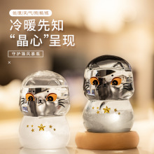 工厂直销天气预报瓶风暴瓶生日礼物情人节创意礼品特别新奇实用