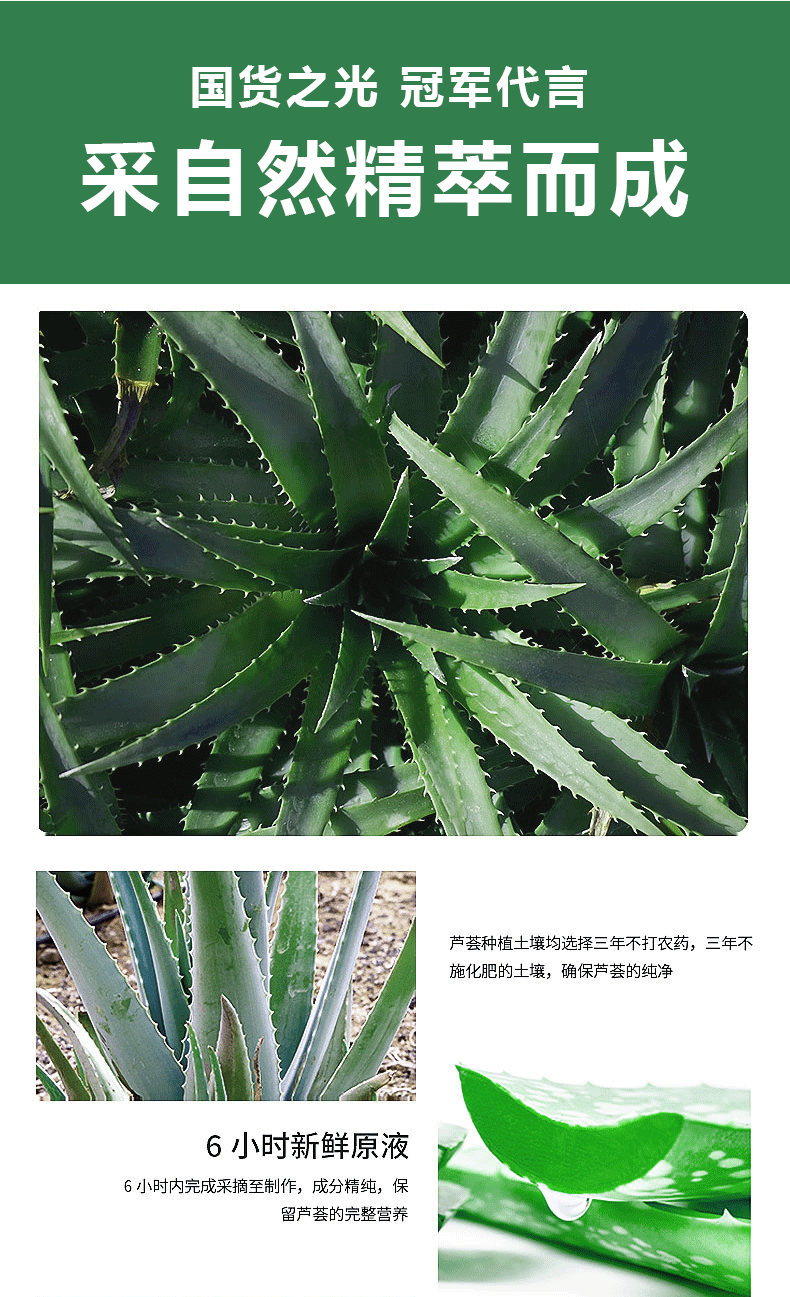 浓缩芦荟胶详情_08.gif
