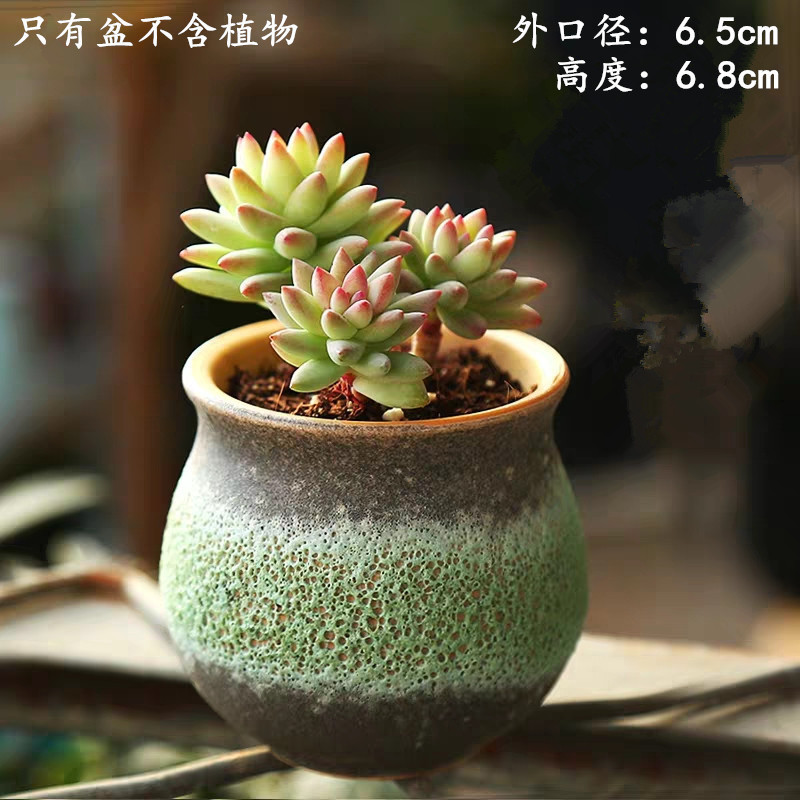 植木鉢の小さい新商品の缶のアイデアの磁器の缶の多い陶磁器の肉のミニ陶のレトロな家庭の陶磁器のたらいの園芸の太い新しいです。|undefined