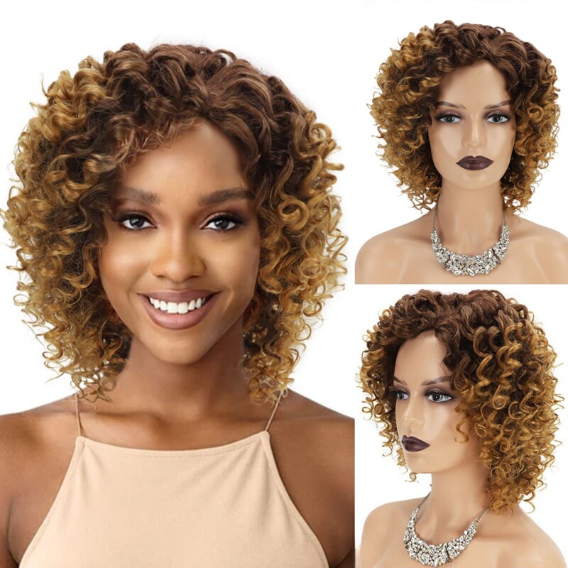 Women Short Brown Curly Wig Natural Looking Synthetic Full Wig for Cosplay Daily Party