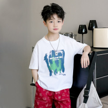 童装夏季新款男宝宝全棉印花圆领短袖中大童半袖上衣潮酷双纱棉