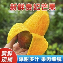 FâârᎧˮâȻtSĬFժ