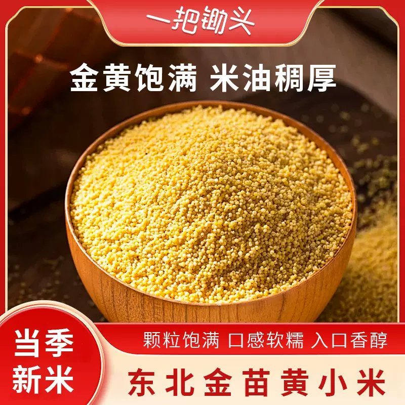 朝阳黄小米新米5斤装东北新鲜小黄米小米粥小米杂粮批发一件代发