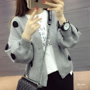 2025�괺���¿���������_���r�����⌒�ɲ��cᘿ�������_������