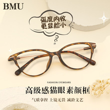 超轻TR90近视眼镜框 时尚猫眼百搭防蓝光眼镜架支持配镜批发72358