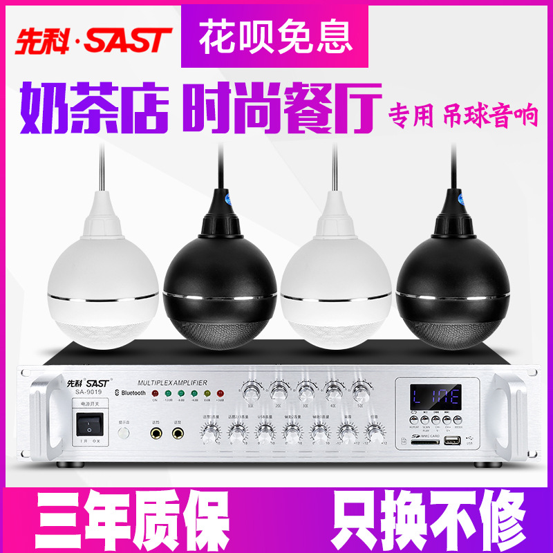 先科S5-1无线蓝牙天花吊球音响室内商店铺用吸顶吊顶吊挂音箱悬挂