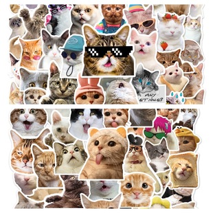 100������؈��ɐ��N����Xˮ�����弪���N�� meme cat sticker