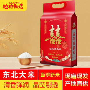 �ߙn��Ʒ5��|������2026�ꮔ�����׃��|���������ϲ�c�������l