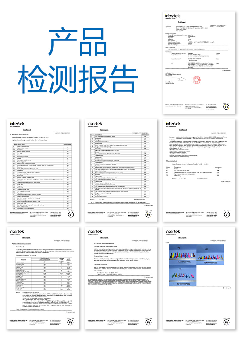 检测报告