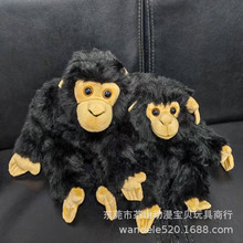 ����@����ë�q���к���������С��������p�ֿɼӏ����F�Ĵ�����