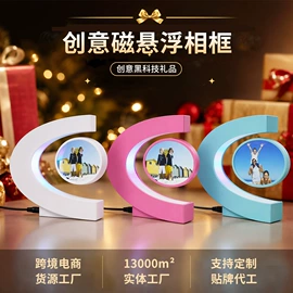 教学演示用品;塑料工艺品;地球仪