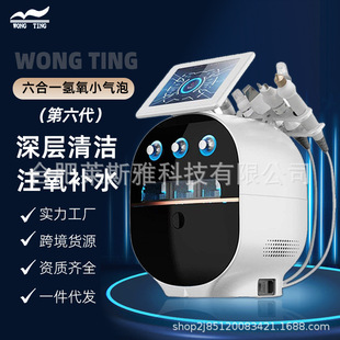 Sixth Generation Hydrogen and Oxygen Small Bubble Facial Management Instrument to Clean Skin, Remove Blackheads, Spray Gun, Hydrating Beauty Salon Commercial Instrument