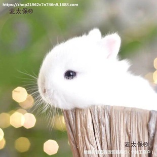 ��̫�����ӻ����٪���û��w�L��������С���P�۲豭�ô󉾵���