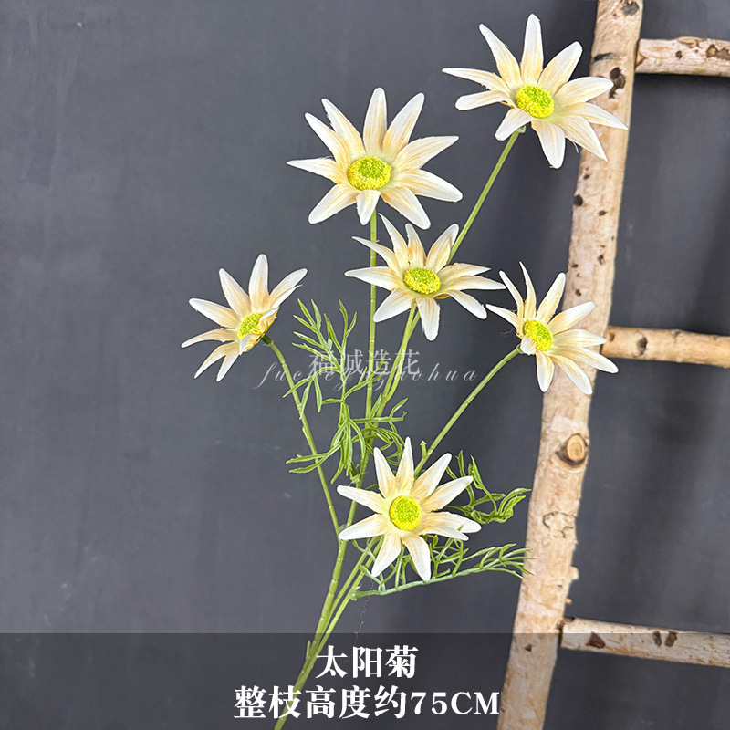 해바라기