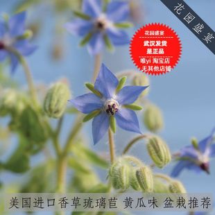 ���� �ЙCʳ����ݷN��������10�� �����M�� �S��ζ �����N