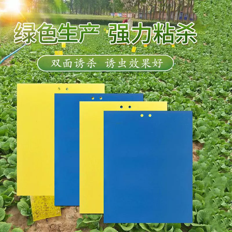 黄板双面粘虫板诱虫蓝板纸贴黄色飞虫小黑飞粘蝇诱捕器粘板飞蛾