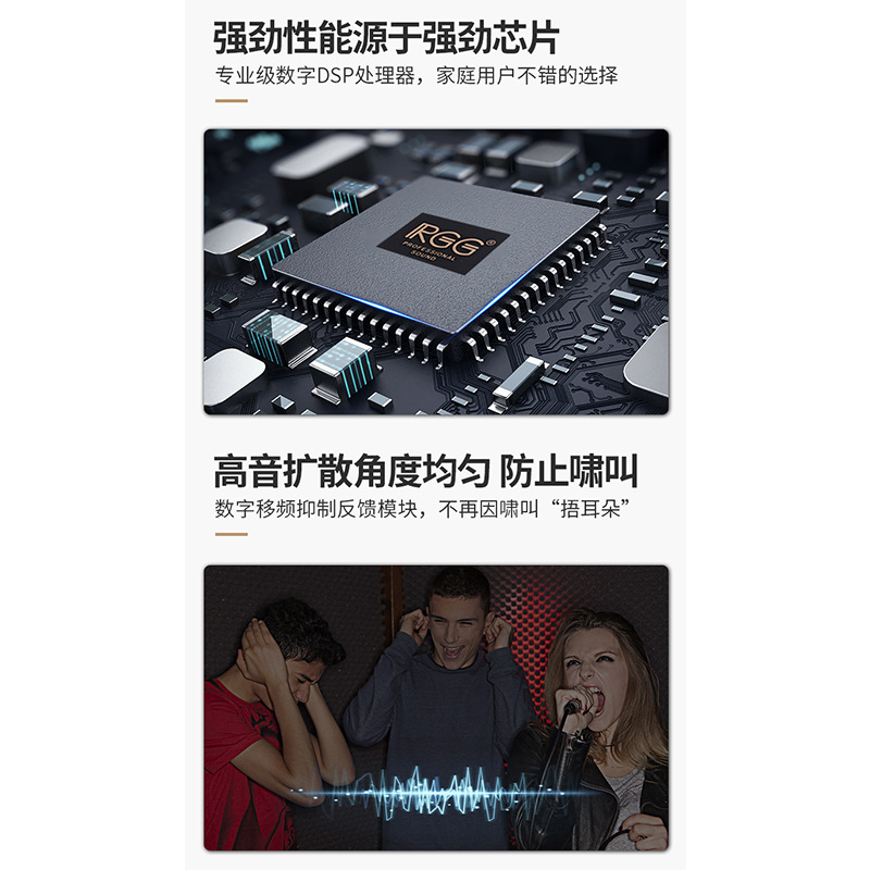 10-pulgadas de 12 pulgadas de audio KTV titular de la tarjeta de Casa de karaoke de audio para el hogar equipo de audio juego de altavoces conjunto Al Por Mayor