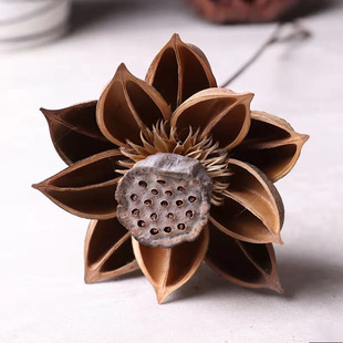 ��ɏź�[�������ɻ��滨�b[���ɻ��L��ɏ��U����ʽ�͏d�[�O