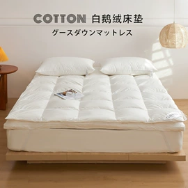 四件套;情侣家居服;运动休闲棉袜