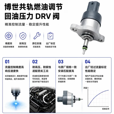 Source Manufacturer 0281002493 Yanacaq injektoru (Forsunka)