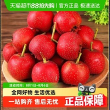 ɽ��r��ɽ��t���Ǵ�����ɽ�֭���r�ؼ�����Ǻ��Jɽ髰�����