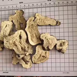 两年生白术 好货价格低过大筛  白术